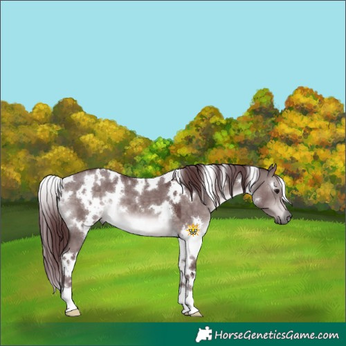 Horse Color:Platinum White Spotted Chocolate Brown Dun 