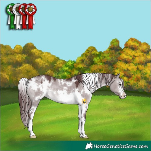 Horse Color:Platinum White Spotted Chocolate Brown Dun 