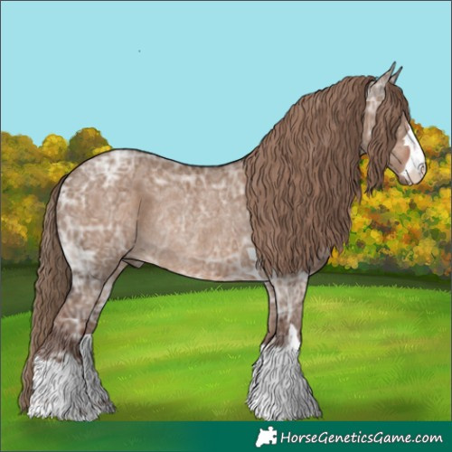 Horse Color:Liver Red Dun Ice Rabicano 