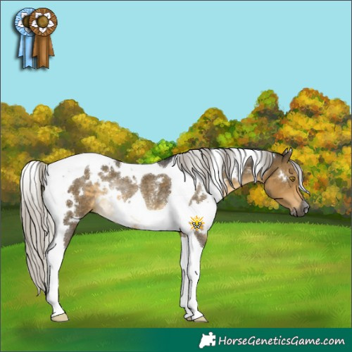 Horse Color:Gray White Spotted Silver Buckskin Dun Tobiano Rabicano