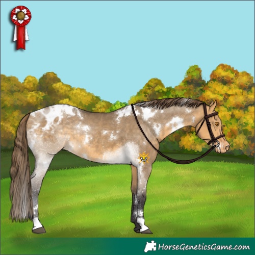 Horse Color:White Spotted Buckskin Dun Blanket Rabicano 