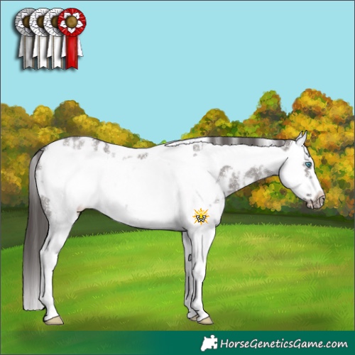 Horse Color:White Spotted Smoky Grullo Sabino Splash Frame Blanket Rabicano 