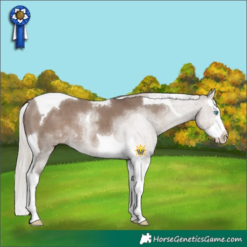 Horse Color:Silver Grullo Splash Tobiano 