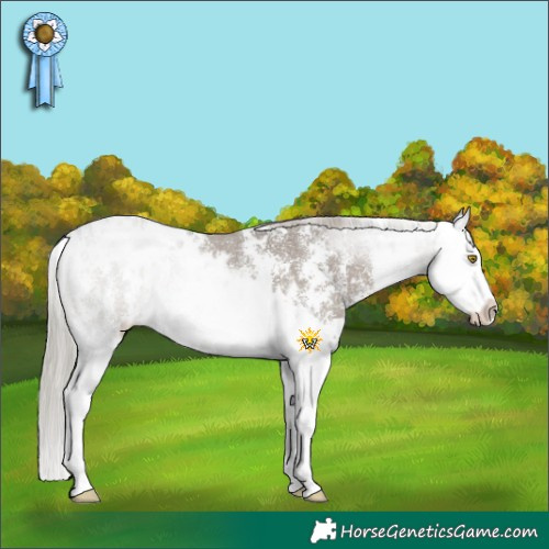 Horse Color:White Spotted Silver Grullo Sabino Splash 