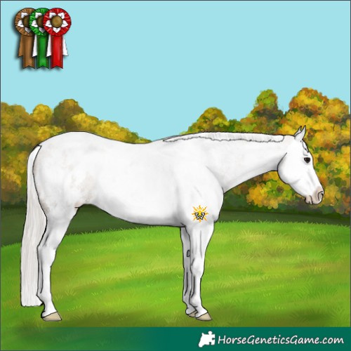 Horse Color:White Spotted Silver Grullo Sabino Splash 