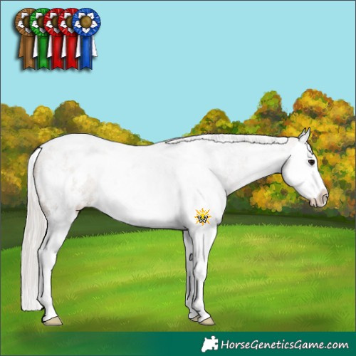 Horse Color:White Spotted Silver Grullo Sabino Splash 