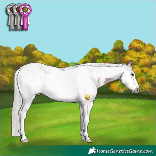 Horse Color:White Spotted Silver Black Sabino Frame Rabicano 