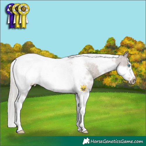 Horse Color:White Spotted Silver Grullo Tobiano Frame Rabicano 