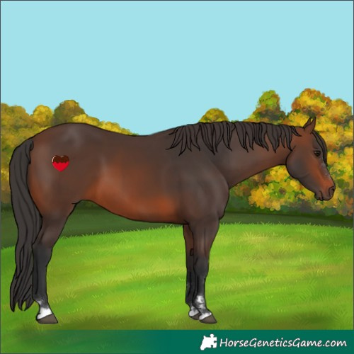 Horse Color:Brown 