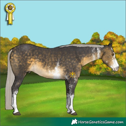 Horse Color:White Spotted Silver Buckskin 
