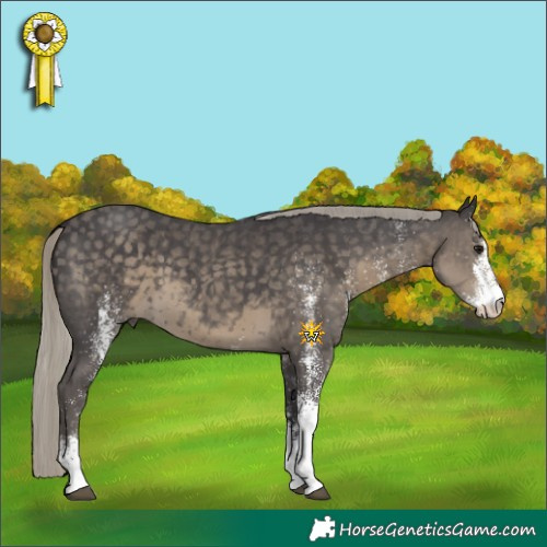 Horse Color:White Spotted Silver Smoky Black 