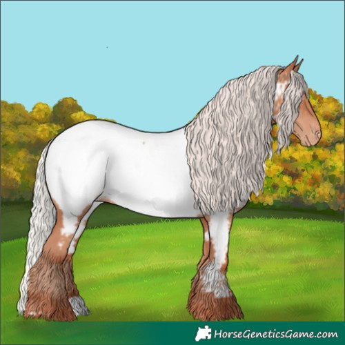 Horse Color:Silver Classic Champagne Near Fewspot