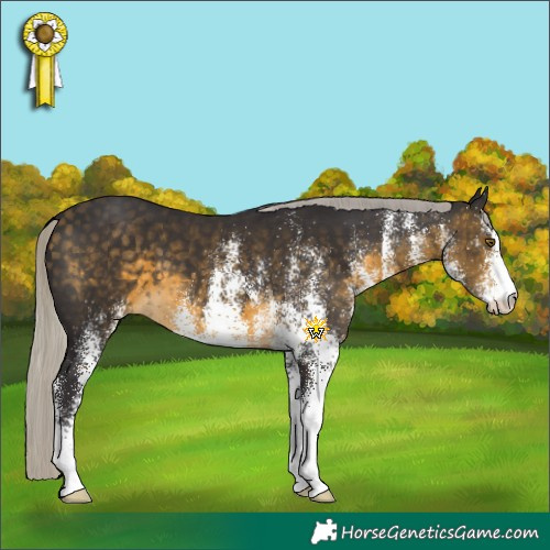 Horse Color:White Spotted Silver Buckskin 