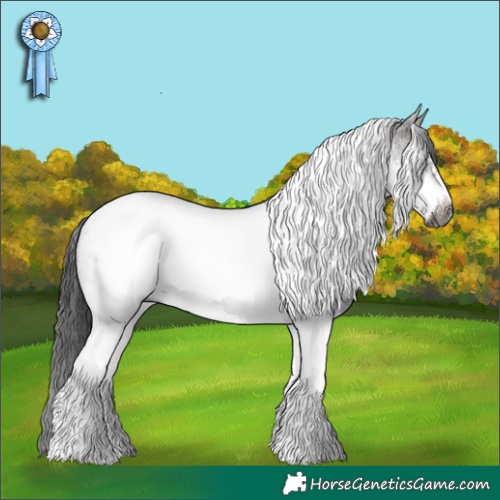 Horse Color:Gray Smoky Grullo Roan Tobiano Frame