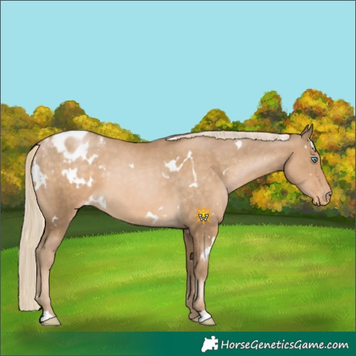 Horse Color:White Spotted Chocolate Palomino Pearl Varnish 