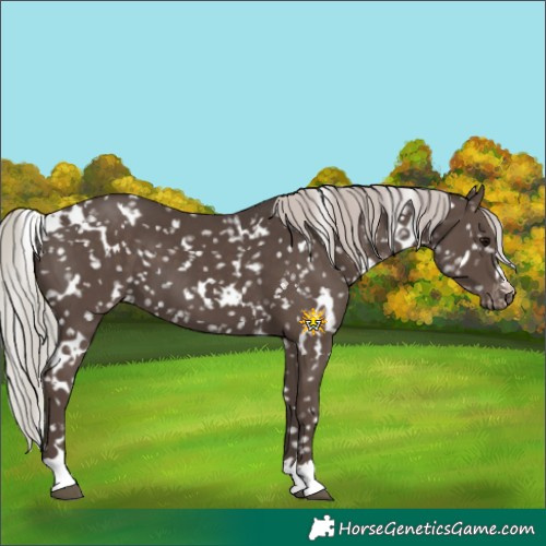 Horse Color:White Spotted Silver Black Snowflake Varnish 