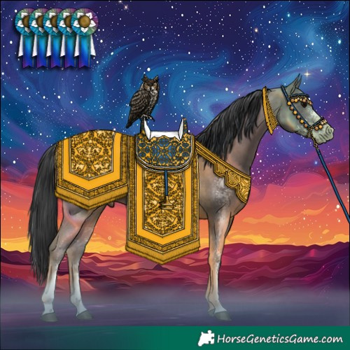 Horse Color:Black Sabino 