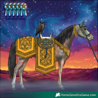 Horse Color:Black Sabino 