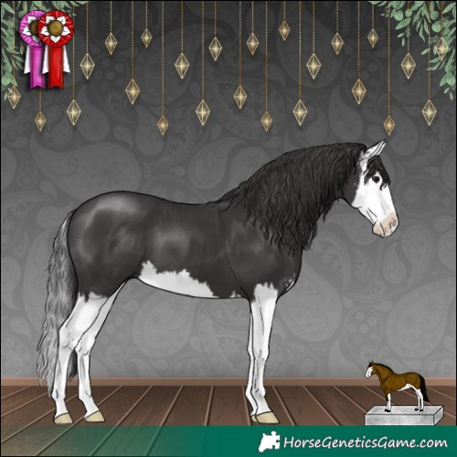 Horse Color:Smoky Black Sabino Splash 