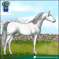 Horse Color:Gray White Spotted Black Sabino Rabicano