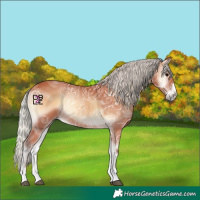 Horse Color:Silver Bay Ice Onyx 