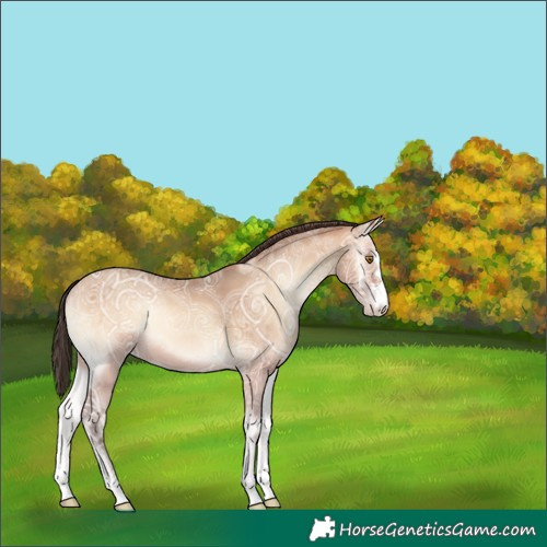 Horse Color:Amber Champagne Ice Onyx
