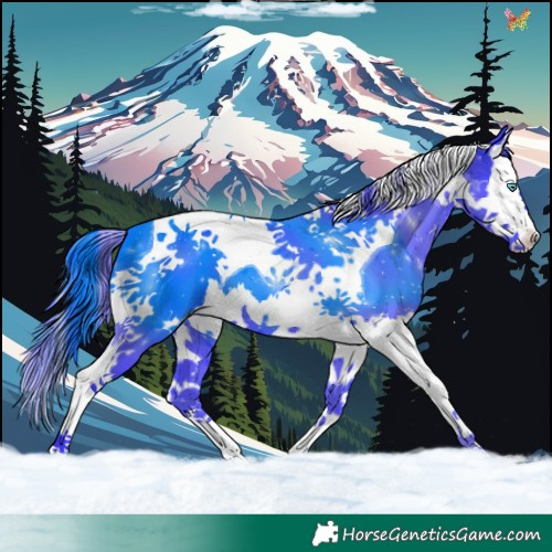 Horse Color:Watercolor Black Splash Tobiano