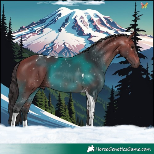 Horse Color:Bay Tobiano 