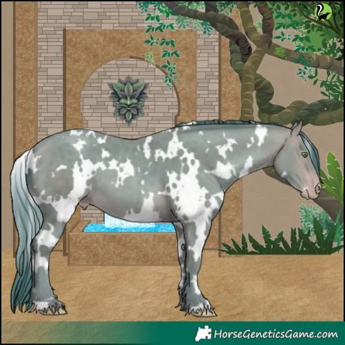Horse Color:Watercolor White Spotted Sable Champagne 