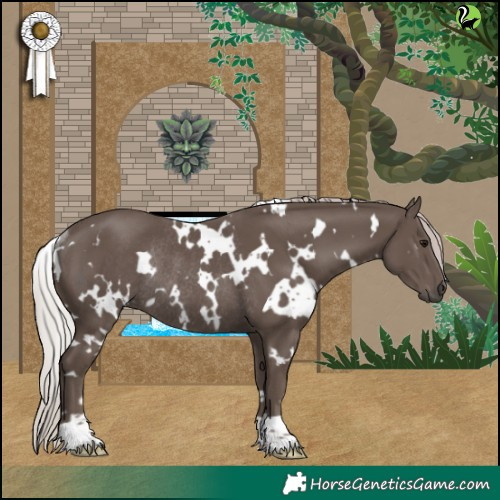 Horse Color:White Spotted Silver Black Rabicano 