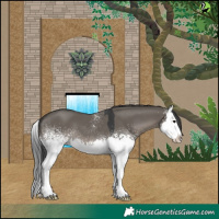 Horse Color:White Spotted Grullo Splash 
