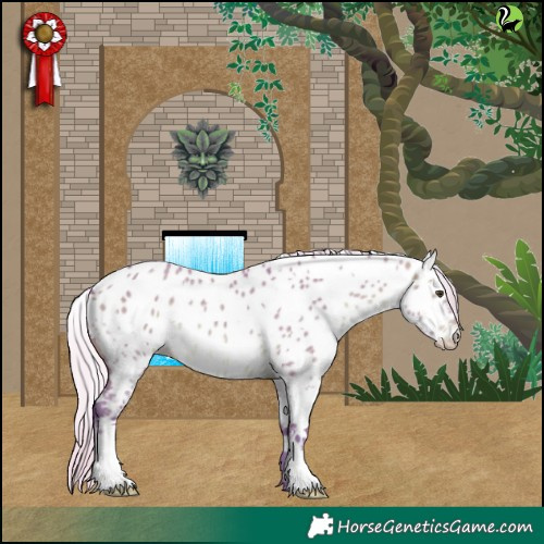 Horse Color:Watercolor White Spotted Silver Bay Dun Appaloosa 