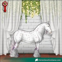 Horse Color:Watercolor White Spotted Silver Bay Dun Appaloosa