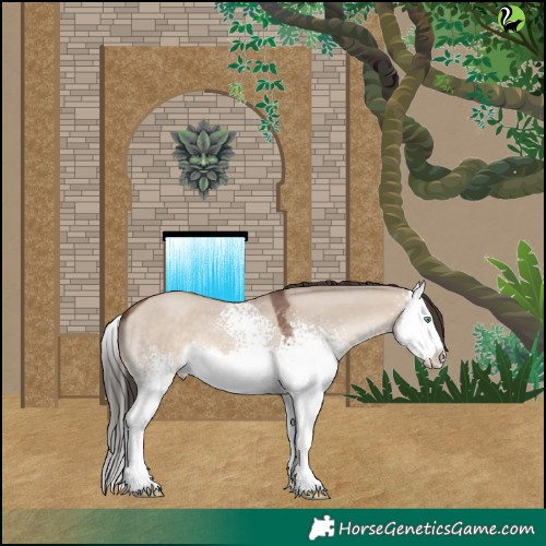 Horse Color:White Spotted Sable Champagne Dun Splash