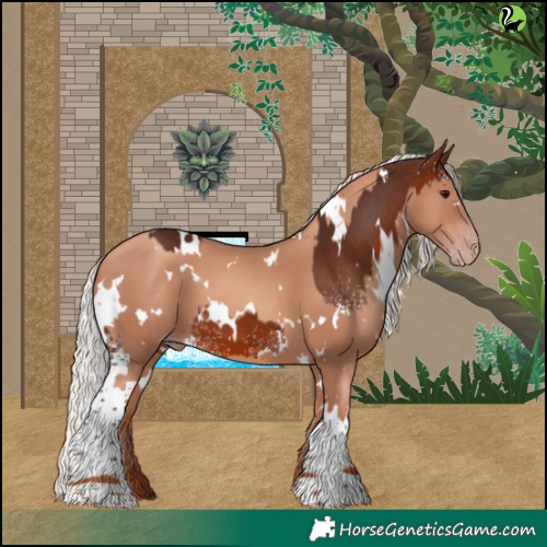 Horse Color:White Spotted Silver Brown  and White Spotted Silver Classic Champagne 