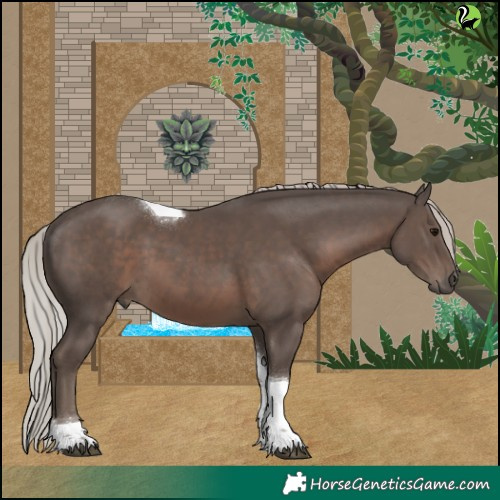 Horse Color:Silver Black Tobiano 