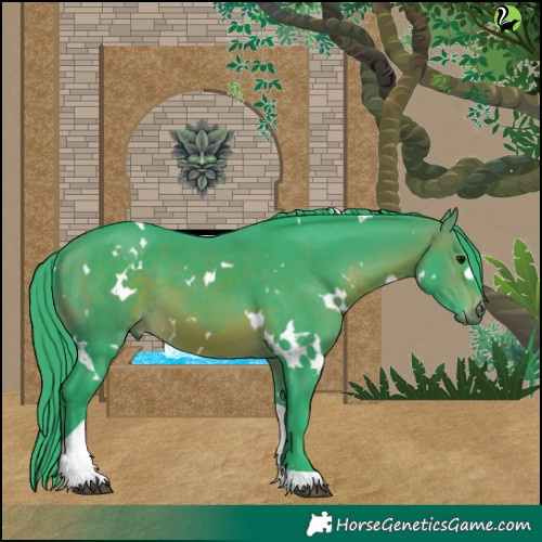 Horse Color:Watercolor White Spotted Brown Tobiano 