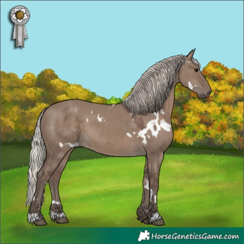 Horse Color:White Spotted Silver Grullo 