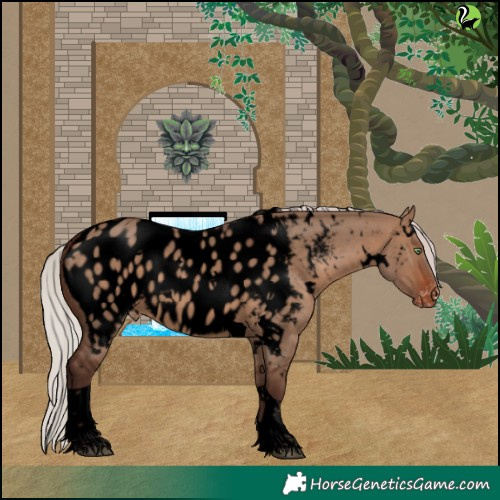 Horse Color:Void White Spotted Silver Brown Dun Tobiano Appaloosa 