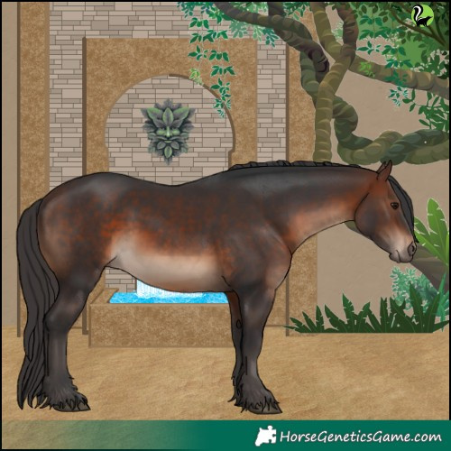 Horse Color:Brown 