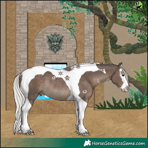Horse Color:Silver Black Sabino Splash Tobiano Rabicano 