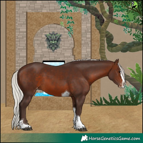 Horse Color:Silver Brown Splash Tobiano Appaloosa Rabicano 