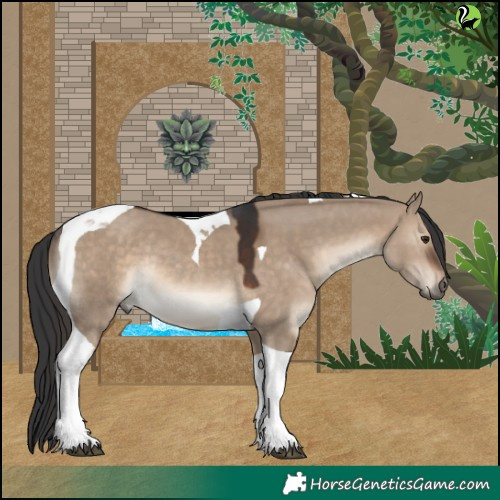 Horse Color:Brown Dun Tobiano Rabicano 