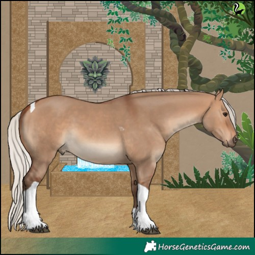Horse Color:Silver Brown Dun Tobiano 