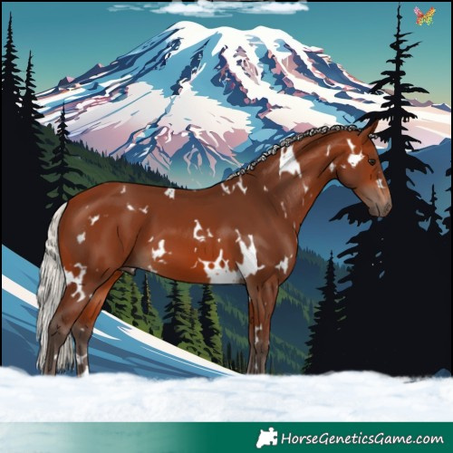Horse Color:White Spotted Silver Brown 