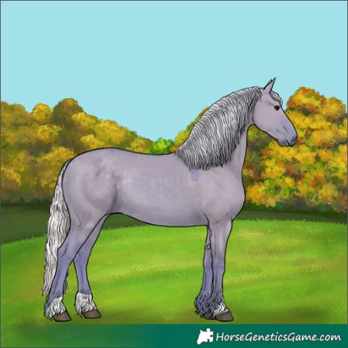 Horse Color:Watercolor Silver Grullo Rabicano 