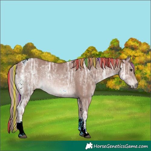 Horse Color:Painted Chestnut Ice Sabino Tobiano 