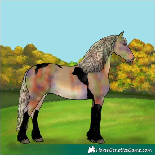 Horse Color:Void Nacre Chocolate Palomino Tobiano 