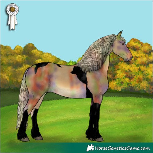 Horse Color:Void Nacre Chocolate Palomino Tobiano 