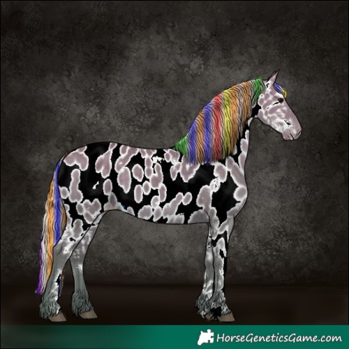 Horse Color:Painted White Spotted Silver Grullo Near Leopard 